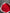 Red Rose Bouquet